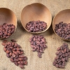 Ghana y Costa de Marfil sellan una alianza estratégica para regular el precio del cacao